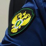 Сведения о раскрываемости дел Третьей прокуратуры по надзору за исполнением законов на особо режимных объектах Московской области