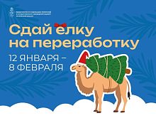 С 12 января по 8 февраля в Московской области пройдет ежегодная экологическая акция «Сдай елку на переработку»