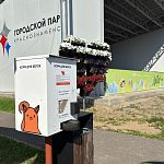 В парках установили специальные аппараты с угощением для белочек
