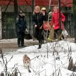 Чудесное спасение кошки, возле детской поликлиники силами МЧС