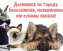 Лапки-Царапки