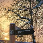 Под солнечным февральским небом