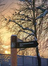 Под солнечным февральским небом