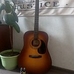 Акустическая гитара cort ad 810