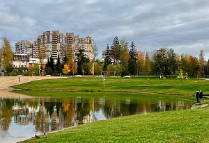 Новое озеро