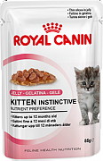 KITTEN INSTINCTIVE (В ЖЕЛЕ)