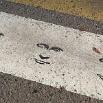 Путин поглощает Краснознаменск