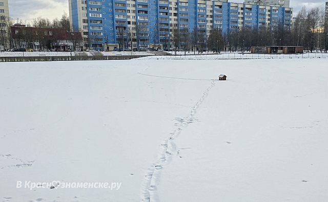 Судя по следам, в домике кто то живёт