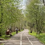 В 2027-2028 г. рассматривается возможность провести в реконструкцию Городского парка