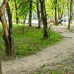 Народные тропы, которым давно стоило бы уже стать официальной частью тротуара