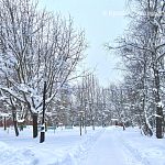 Зимняя прогулка по городу 