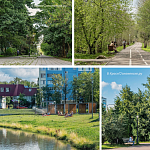 Сегодня День Земли 