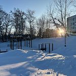 Морозное утро в Городском парке