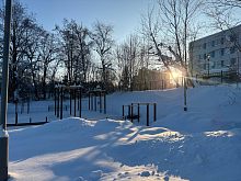 Морозное утро в Городском парке