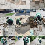 Спасибо Администрации за быстрое реагирование!