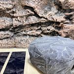 Террариум для рептилий — Краснознаменск