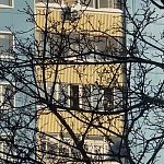 Мира 10, с 9 этажа дети кидают что то на прохожих!