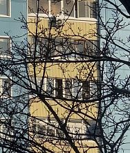 Мира 10, с 9 этажа дети кидают что то на прохожих!