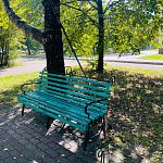 Недостаток урн за зданием ЦРДЮ