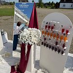 Продам свадебный декор — Краснознаменск