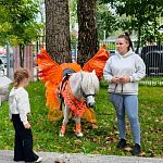 Фотографии со дня города Краснознаменск (45 лет!)