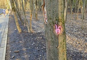 Милота в парке