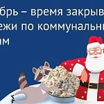 Сроки приема показаний счетчиков и оплаты коммунальных счетов