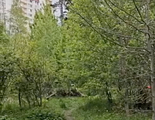 Уничтожить площадку для собак ради аренды под кафе рядом с кафе?