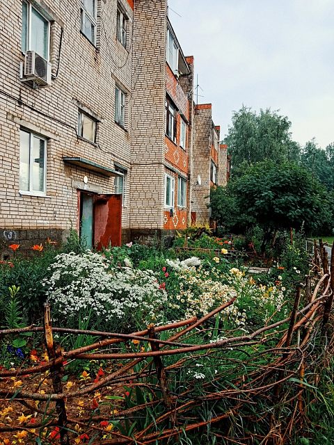 Летний дождь
