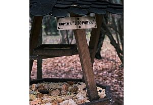 Трактир ;У воробья;День | Осень 25Го