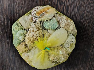 Экзотические ракушки для аквариума, новые