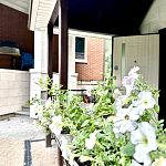 Продам, 261 кв.м, 6 соток, Отдельный дом — Краснознаменск
