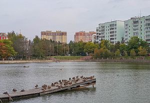 Такая погода, что хочется сесть рядом с утками и г