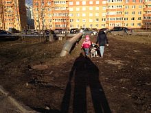 Виталий Вышкварцев о дорогах, тротуарах и пешеходных переходах