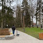 Будьте осторожны, сильный ветер! В Беличьем парке только что упало дерево