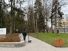 Будьте осторожны, сильный ветер! В Беличьем парке только что упало дерево.