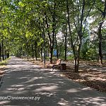 Прогулка по городу