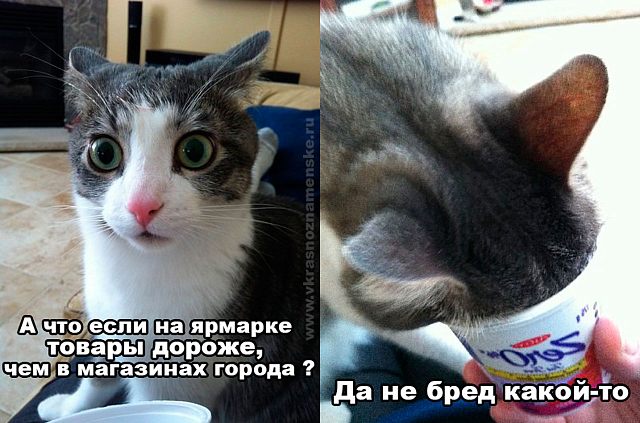 Про ярмарку