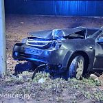 ДТП в индустриальном парке с пьяным водителем и пассажиром