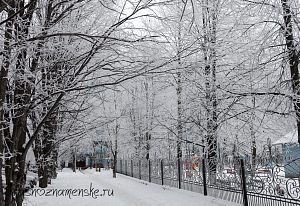 Замороженный Краснознаменск )