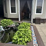 Продам, 8.7 соток, Садовый — Краснознаменск