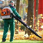 Работники сметают пылесосом сухие листья с одного места на другое и сопровождается эта «уборка» таким столбом пыли, что не видно ничего!!!!