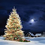 План подготовки и проведения Новогодних и Рождественских мероприятий