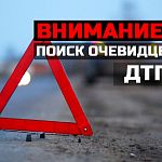 Поиск свидетелей ДТП. 