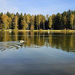 Сегодня расскажем об одной из главных достопримечательностей Городского парка