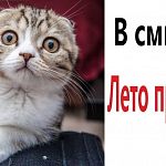 Как Вы провели лето? Опрос