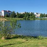 Дружеское напоминание! Не кормите уток и рыбу хлебом!