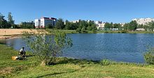 Дружеское напоминание! Не кормите уток и рыбу хлебом!