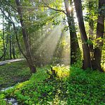 Утро после ночной грозы в Городском парке
