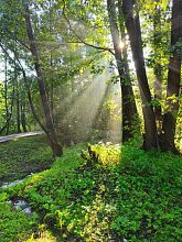 Утро после ночной грозы в Городском парке
